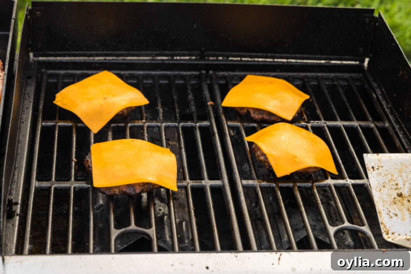 sliced cheddar cheese on top of burger patties