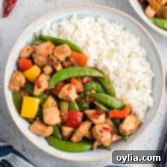 Kung Pao Chicken 13 Kung Pao Chicken