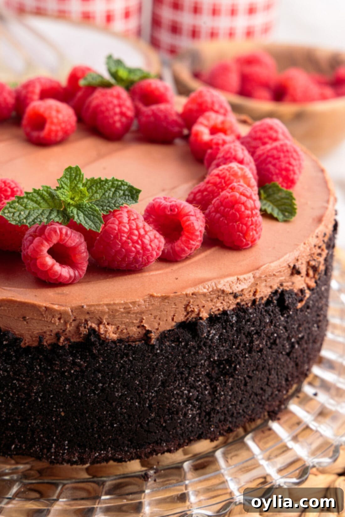 Close up photo of a No Bake Chocolate Cheesecake, showing its creamy texture and chocolate ganache swirl, garnished with fresh raspberries.