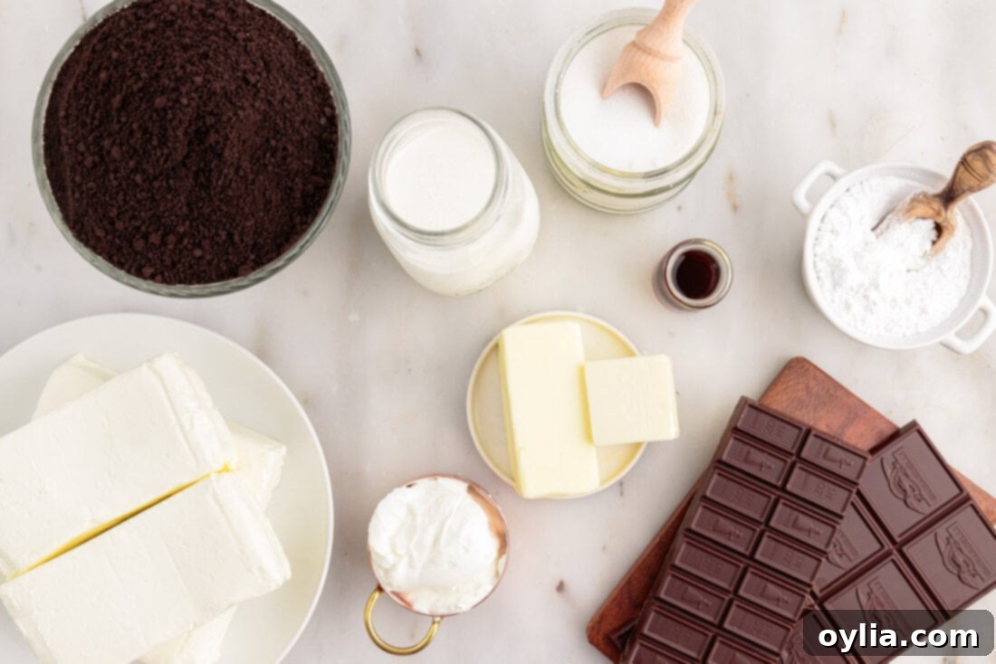 A beautifully arranged flat lay photo showcasing all the individual ingredients required for the No Bake Chocolate Cheesecake, including chocolate, cream cheese, sugar, and graham crackers.