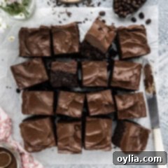 Close up photo of Fudge Frosted Espresso Brownies cut into squares