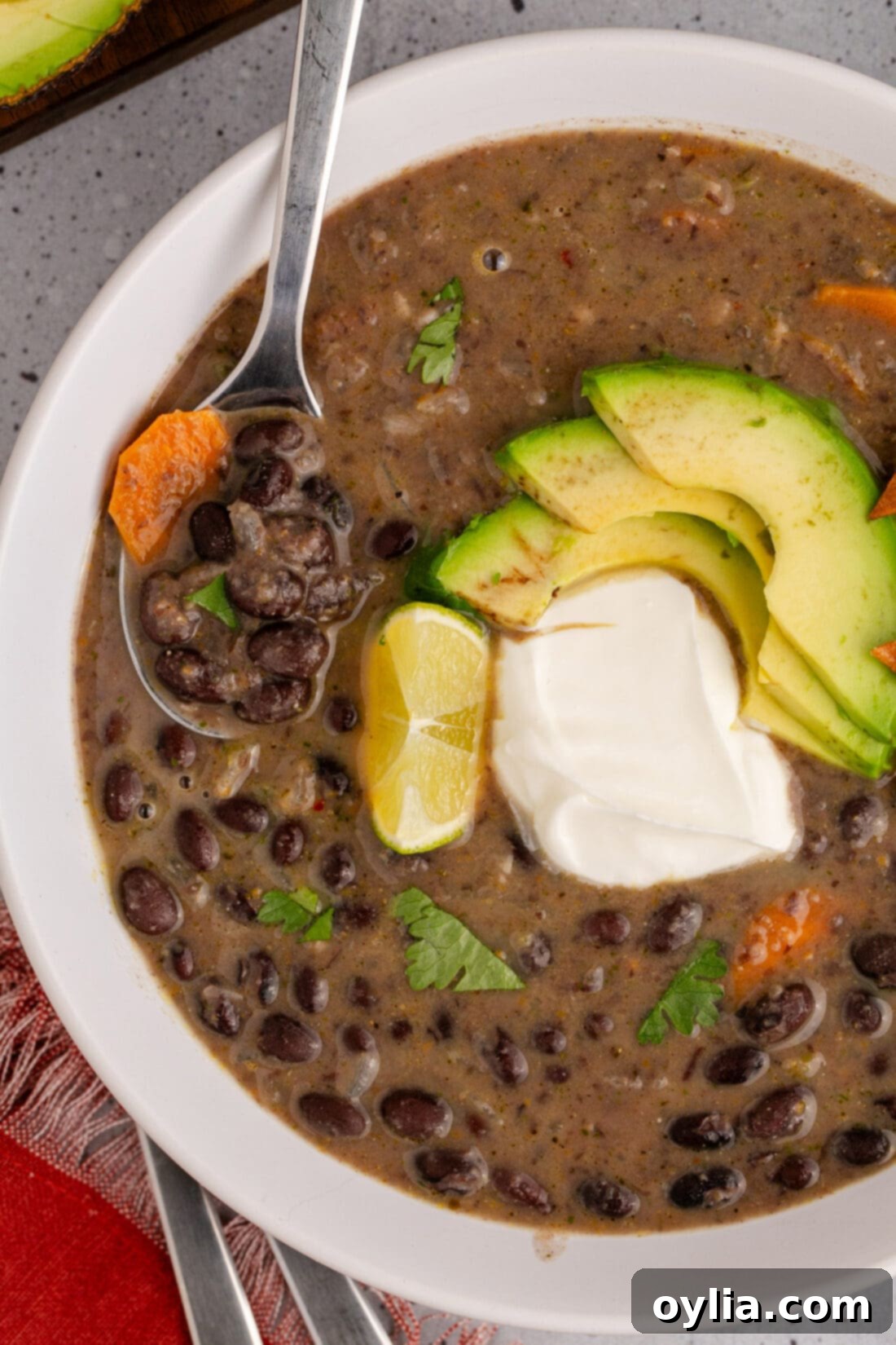 Close up photo of a spoon in a bowl of Black Bean Soup, showing its creamy texture and rich color.