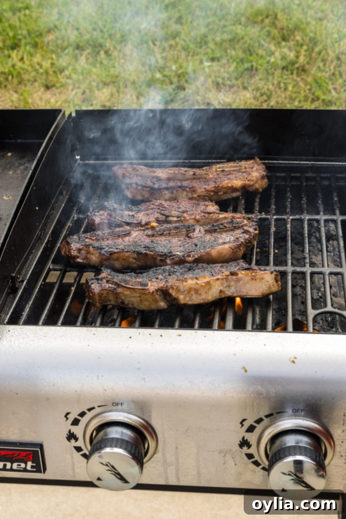 Close-up of perfectly grilled Korean Short Ribs, with a delicious char, resting on the grill grates.