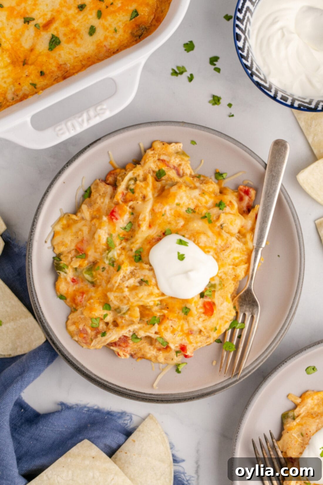 Overhead photo of a plate of King Ranch Chicken Casserole