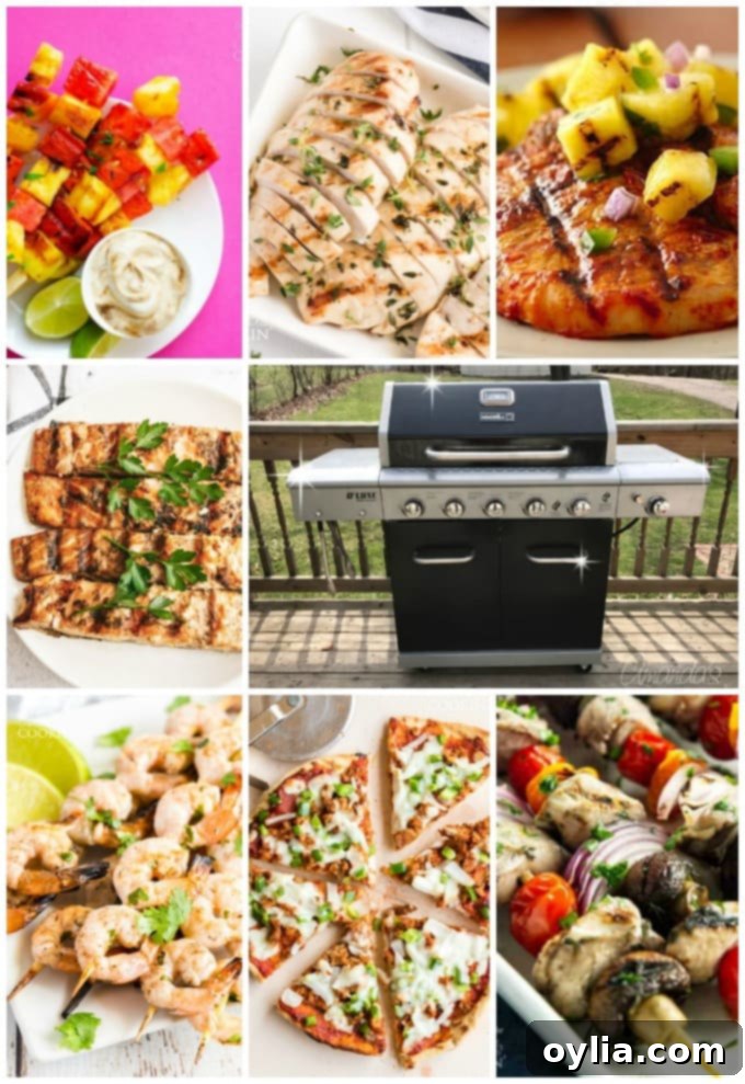 A vibrant collage of various grilled dishes, including chicken, pork, shrimp, salmon, pizza, vegetables, and fruit skewers, against a background suggesting outdoor cooking.