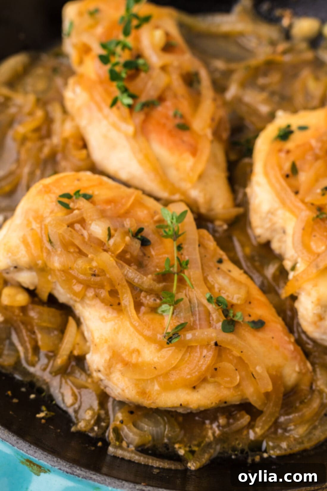 Close up photo Chicken with Onion Thyme Sauce in a skillet