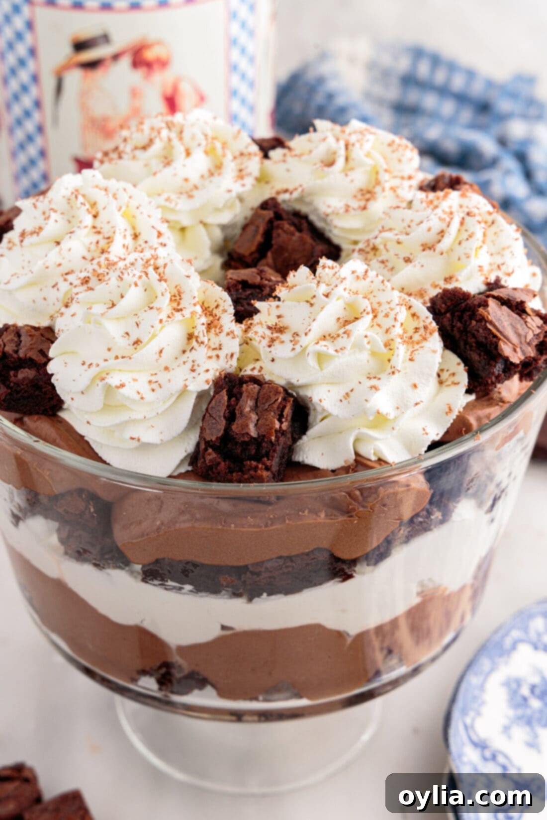 Close up photo of a Brownie Trifle
