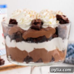 Side photo of a Brownie Trifle