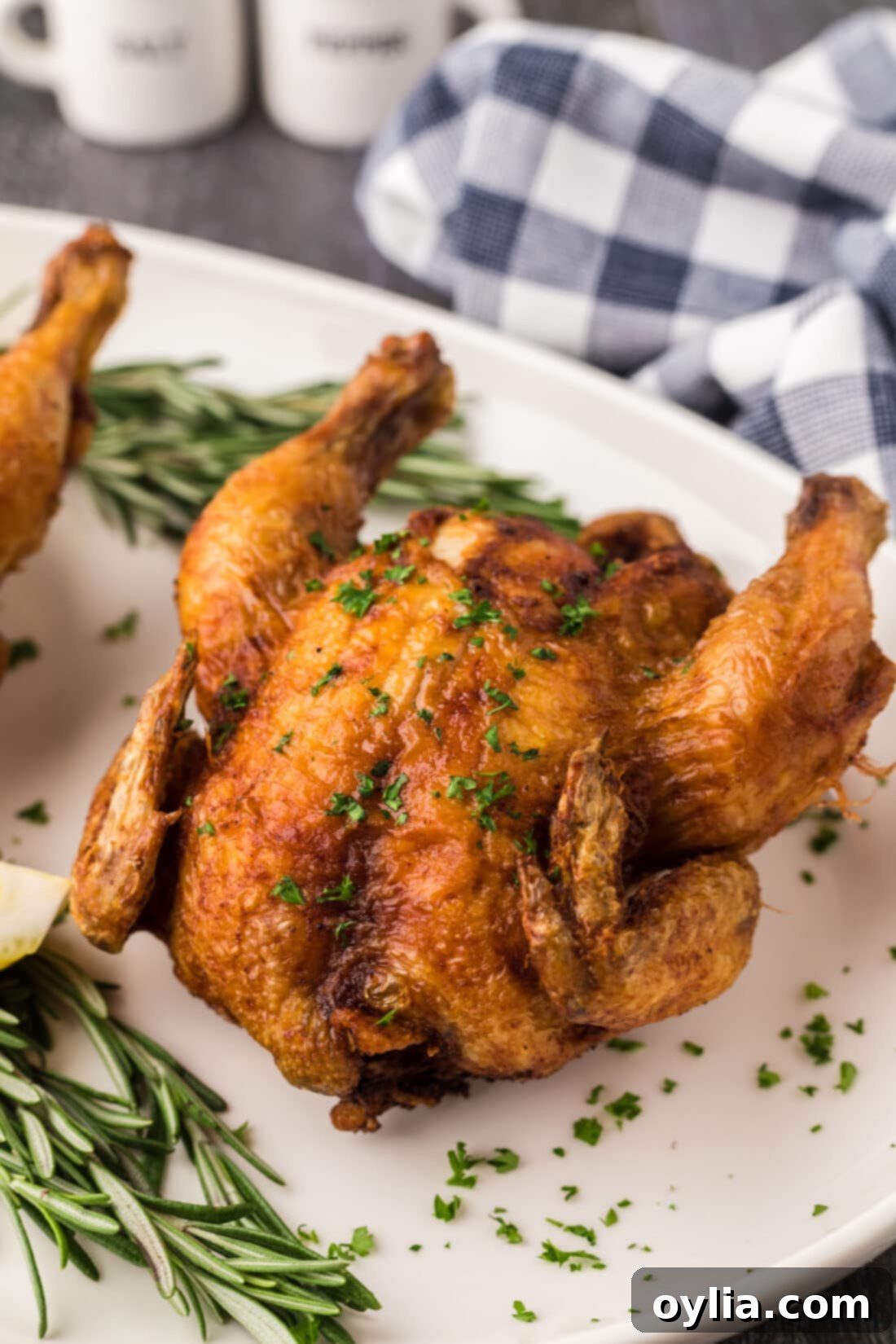 Southern Style Fried Cornish Hens 14 Close up photo of a Deep Fried Cornish Hen
