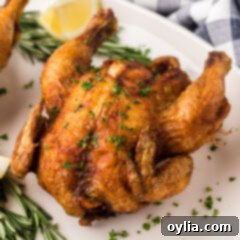 Southern Style Fried Cornish Hens 15 Close up photo of a Deep Fried Cornish Hen on a platter
