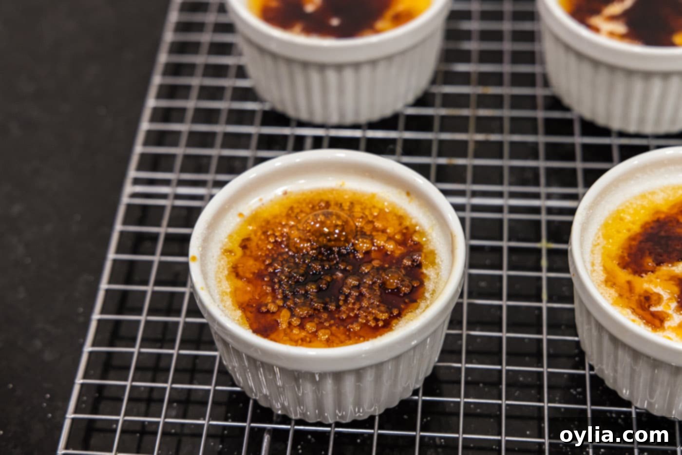 torched creme brulee on a wire rack