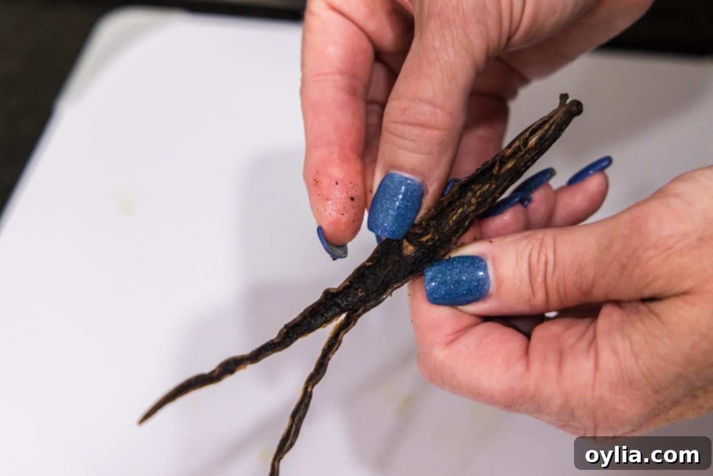 hand splitting open vanilla bean