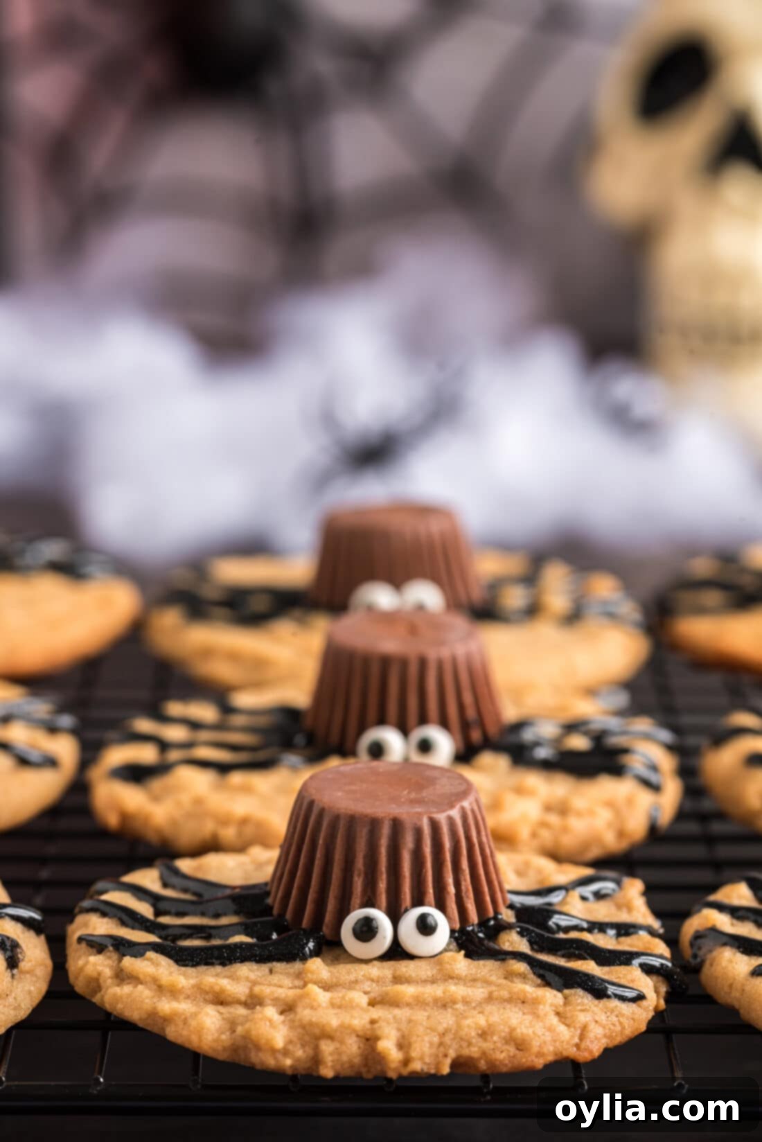 A row of finished Halloween Spider Cookies, ready to be served at a party.