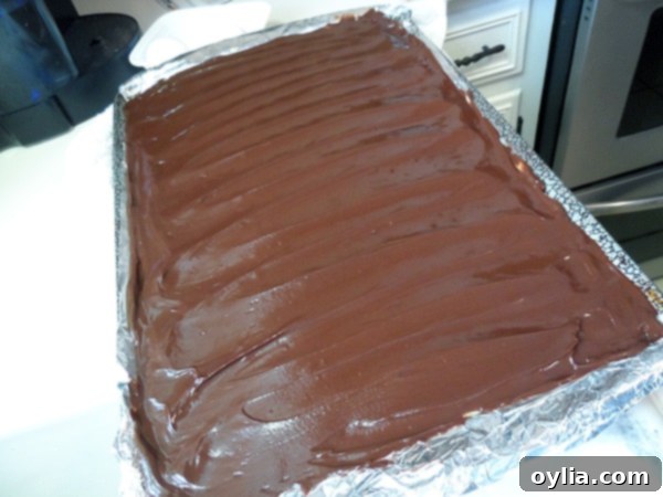 A photo of the finished no-bake peanut butter pudding bars in a pan, before chilling and cutting.