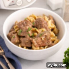 Hearty Beef Noodle Delight 17 Bowl of Beef and Noodles