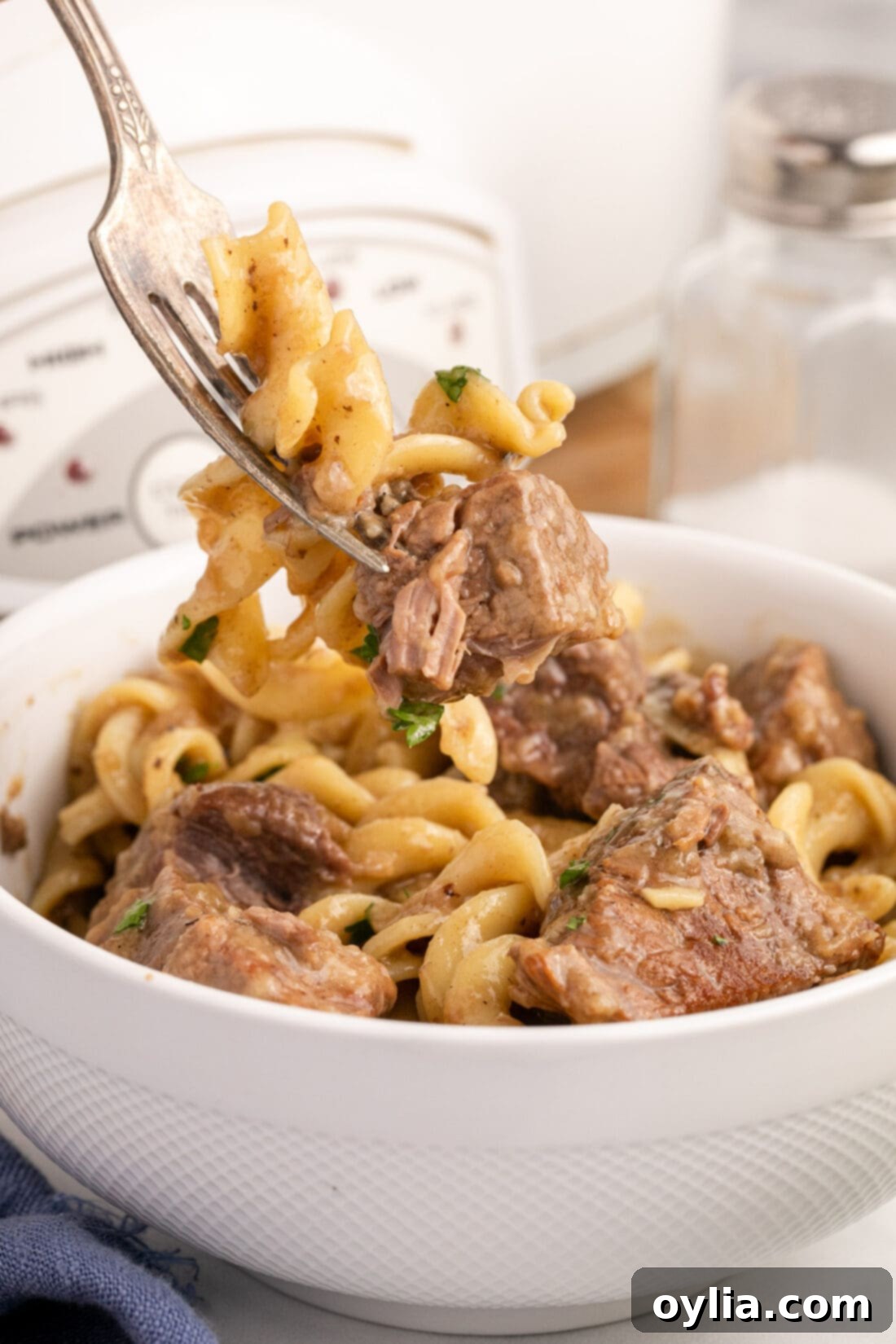 Hearty Beef Noodle Delight 3 Forkful of Beef and Noodles being lifted out of a bowl of Beef and Noodles