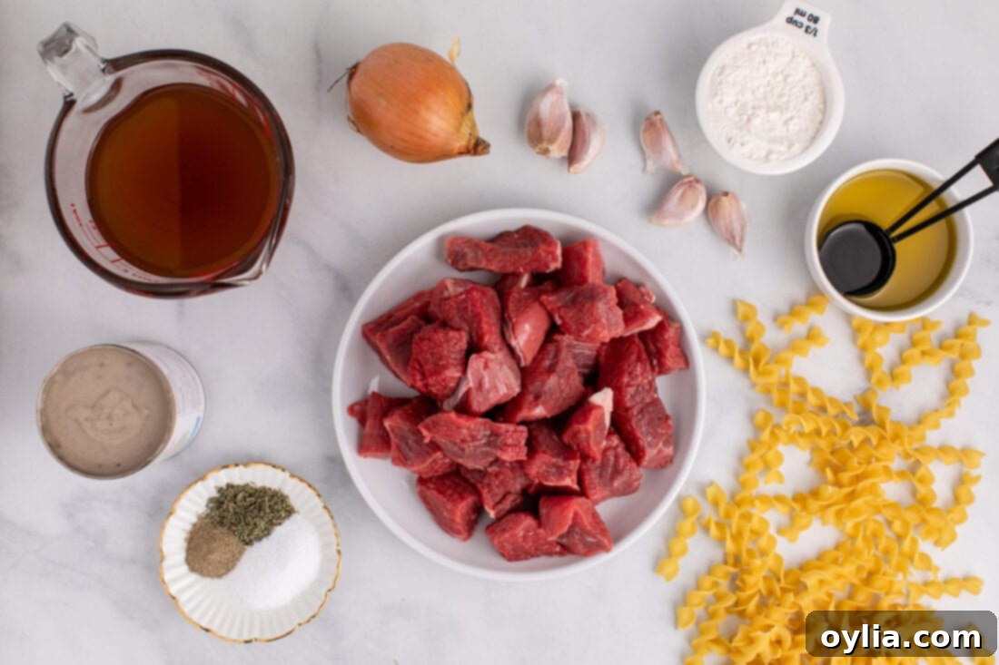 Hearty Beef Noodle Delight 4 Ingredients for Beef and Noodles
