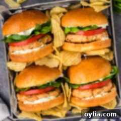 Delicious Salmon Burgers 14 Four Salmon Burgers neatly arranged in a metal tray, ready for serving