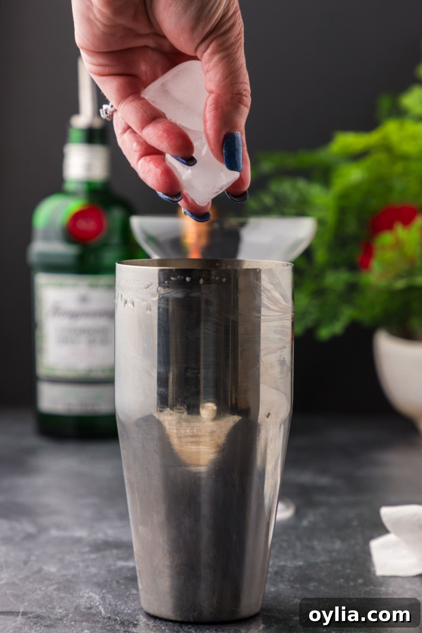 Adding ice cubes to a cocktail shaker for the wet shake of a White Lady Cocktail