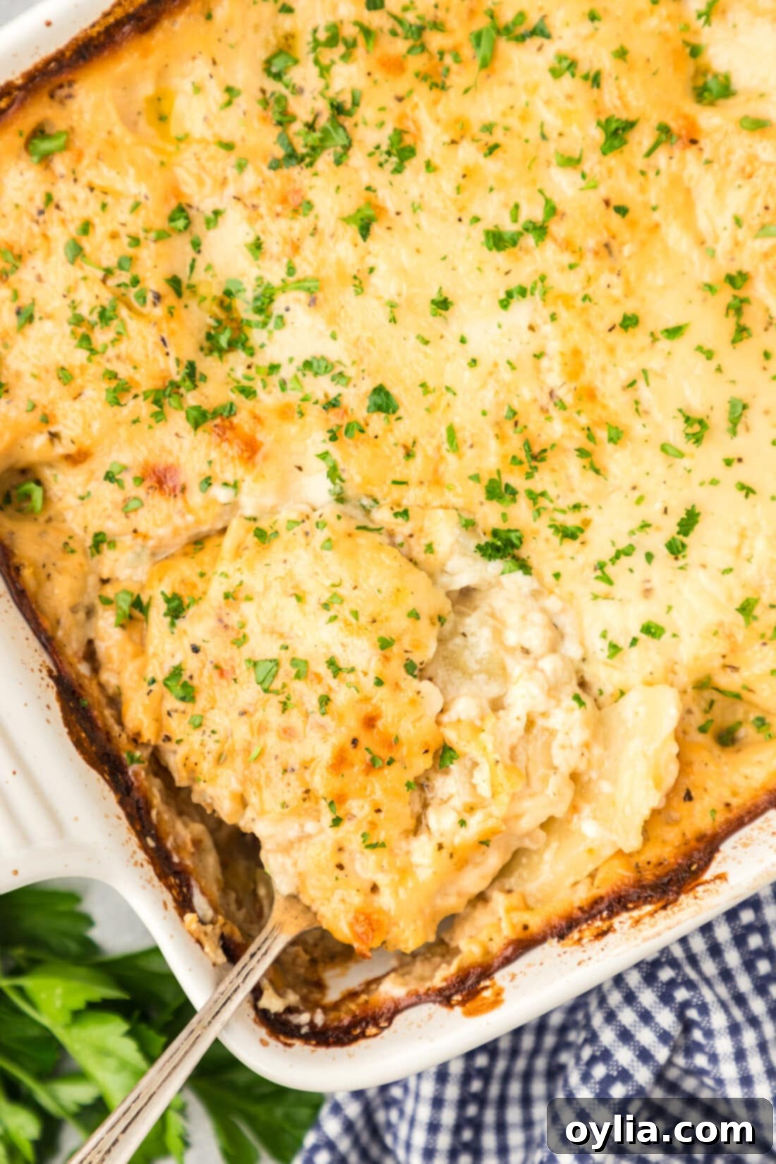 Close up photo of a pan of Scalloped Potatoes