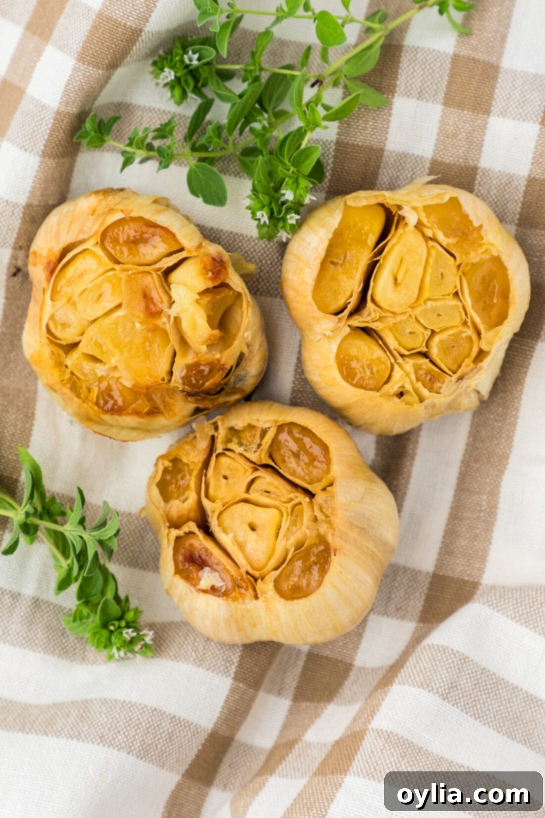 Close up photo of three bulbs of roasted garlic on a towel