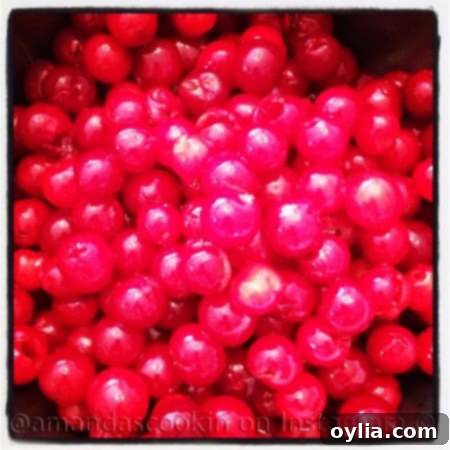 A close up photo of maraschino cherries.