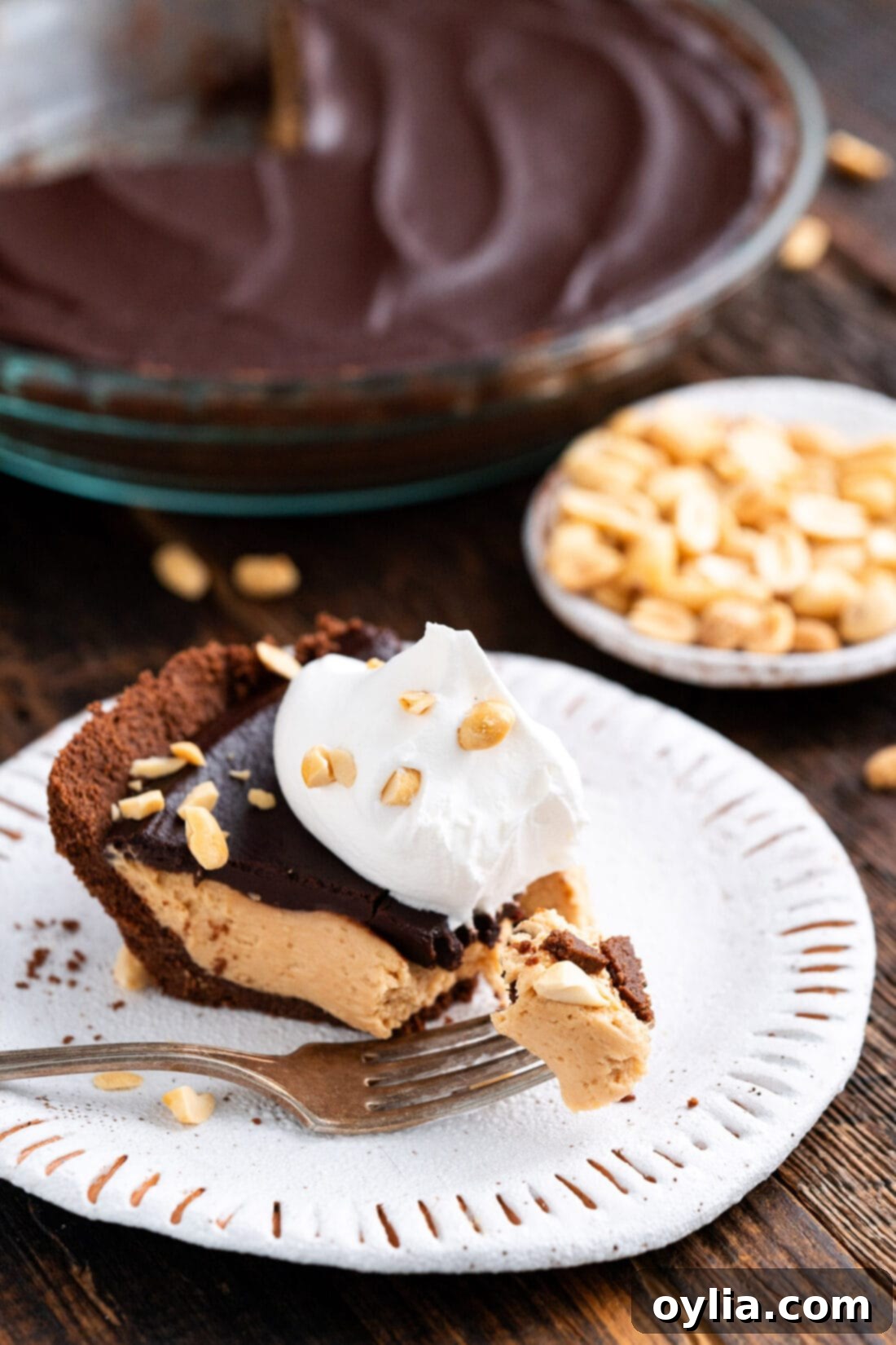 Rich Chocolate Peanut Butter Bliss 3 A delectable slice of Chocolate Peanut Butter Pie on a white plate, with a piece expertly lifted on a fork, showing the rich layers.