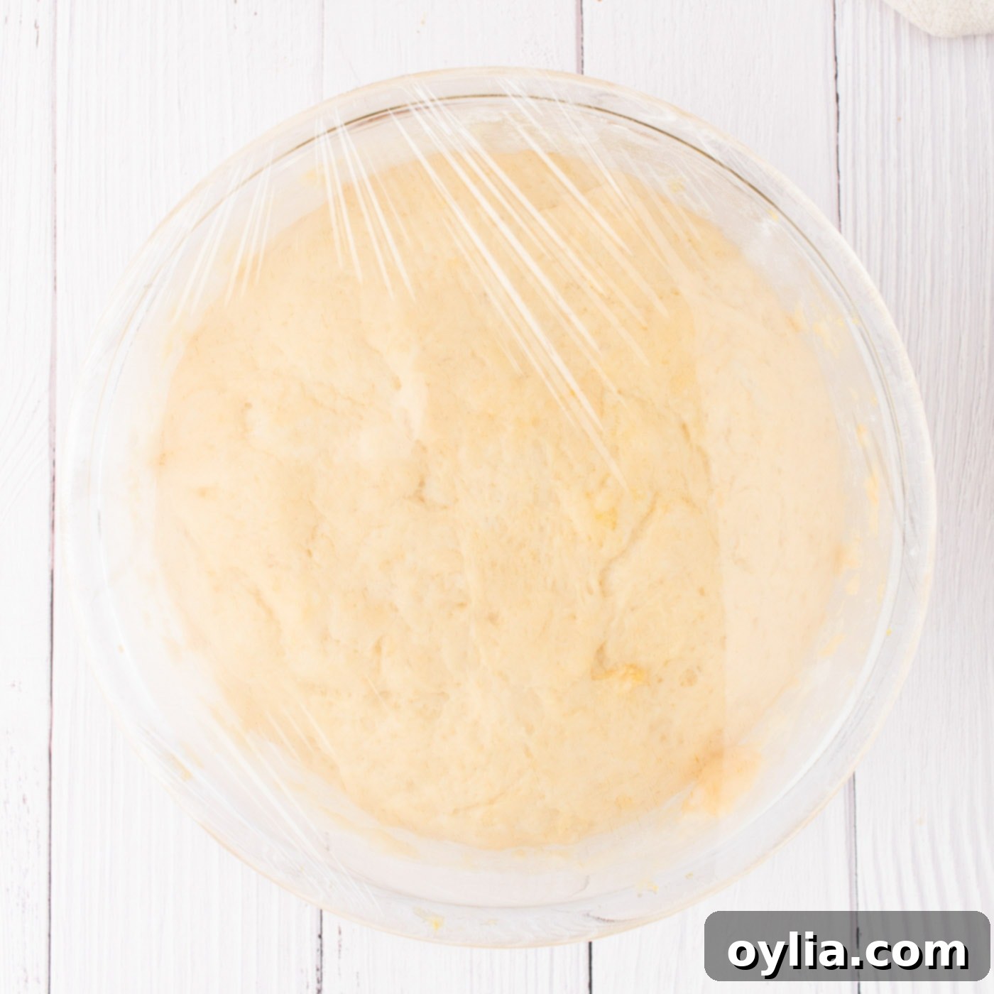 Pumpkin cinnamon roll dough covered with plastic wrap, rising in a warm environment.