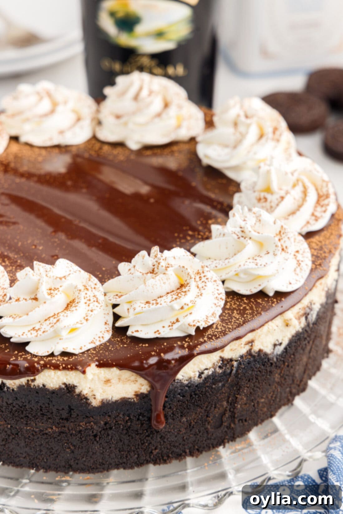 A close-up, top-down view of a fully assembled Baileys Cheesecake, garnished with whipped cream swirls and a dusting of cocoa powder, ready to be served.