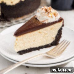 A perfectly sliced Baileys Cheesecake on a white plate with a fork, showcasing its luscious layers and creamy texture, a bite already taken.