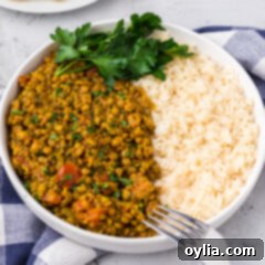 Plate of Lentil Curry with rice