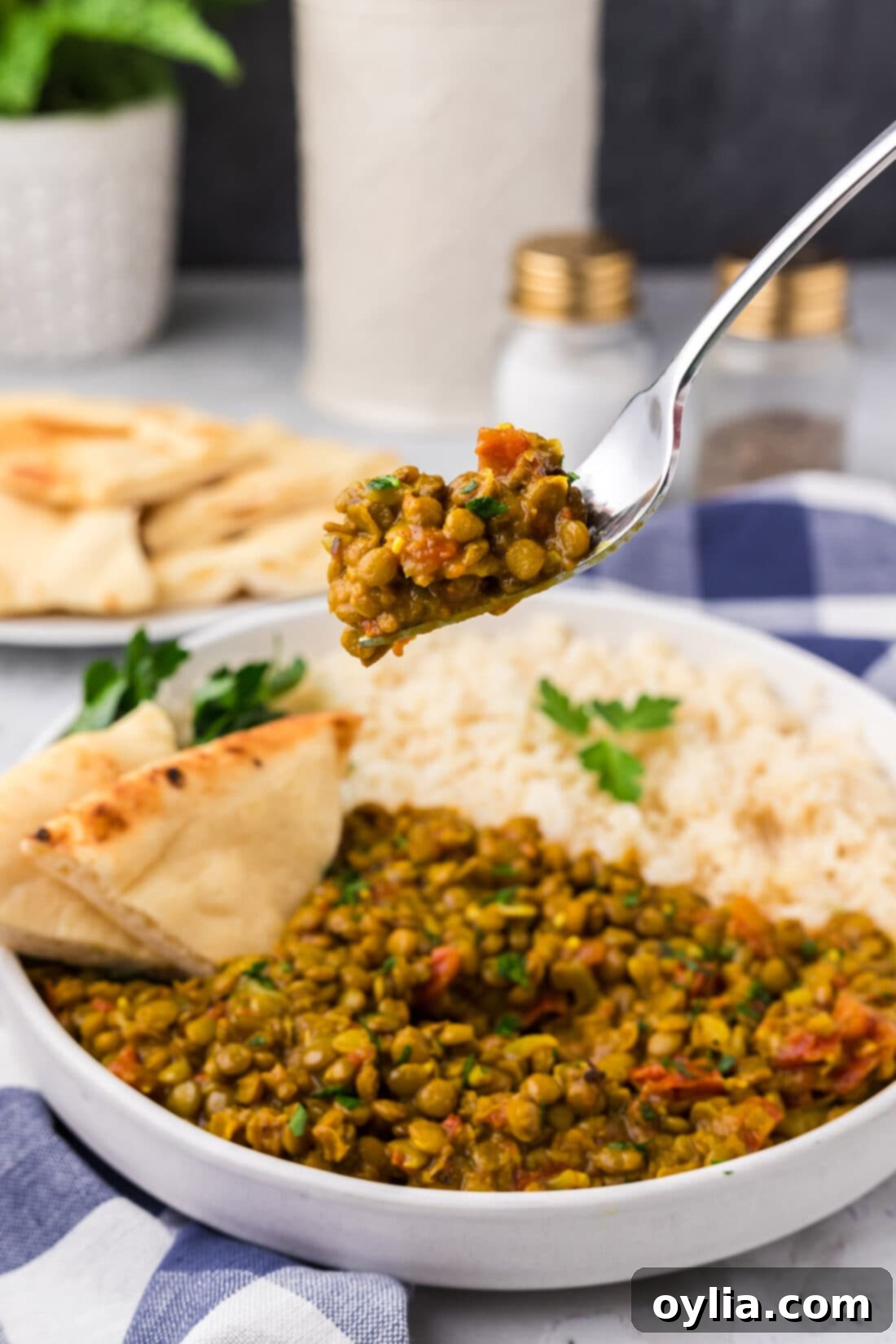 Lentil Curry on a fork held above a plate of Lentil Curry