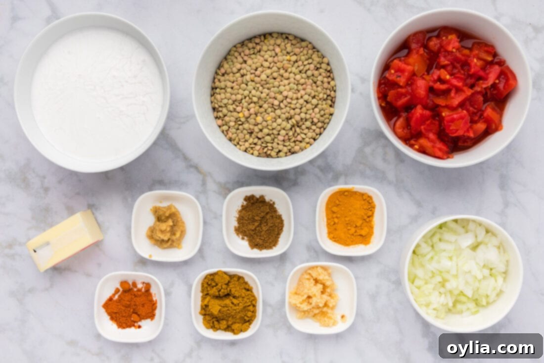 Ingredients for Lentil Curry