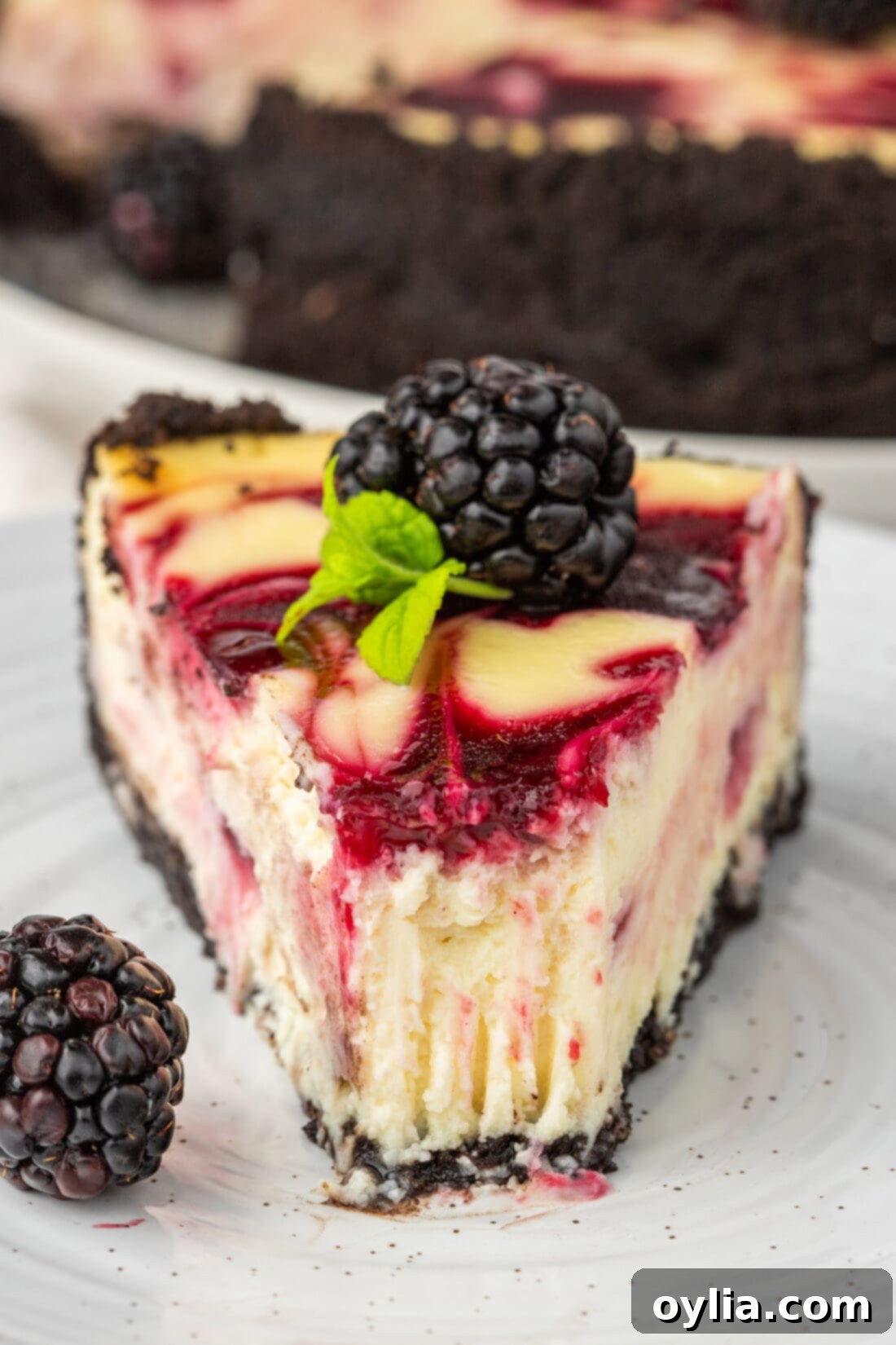 Luscious Blackberry Swirl Cheesecake 3 A perfectly sliced Blackberry Swirl Cheesecake on a plate, with a bite taken out, highlighting the creamy texture and vibrant berry swirl.