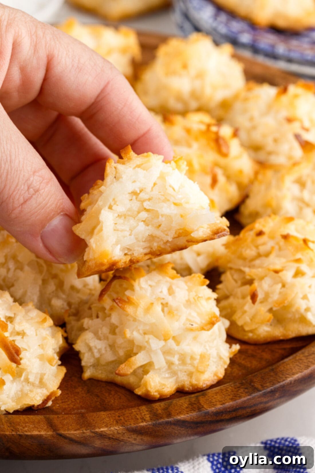 Coconut Macaroon Delights 2 Hand holding a Coconut Macaroon with a bite taken out