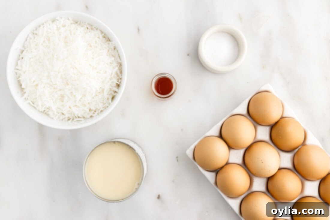 Coconut Macaroon Delights 4 Ingredients for Coconut Macaroons laid out on a kitchen surface