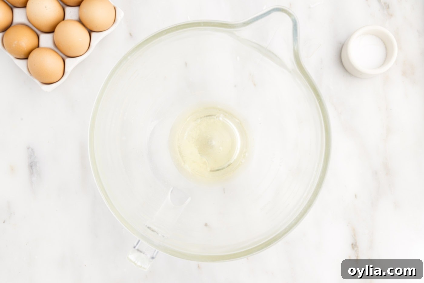 Egg whites and salt in a stand mixer bowl before whipping