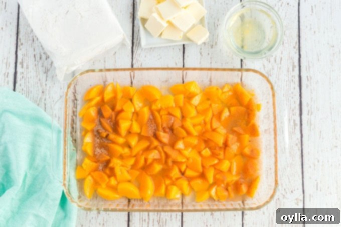 Canned peach chunks spread evenly in a 13x9 baking pan, ready for the next layer of ingredients to be added for the dump cake.