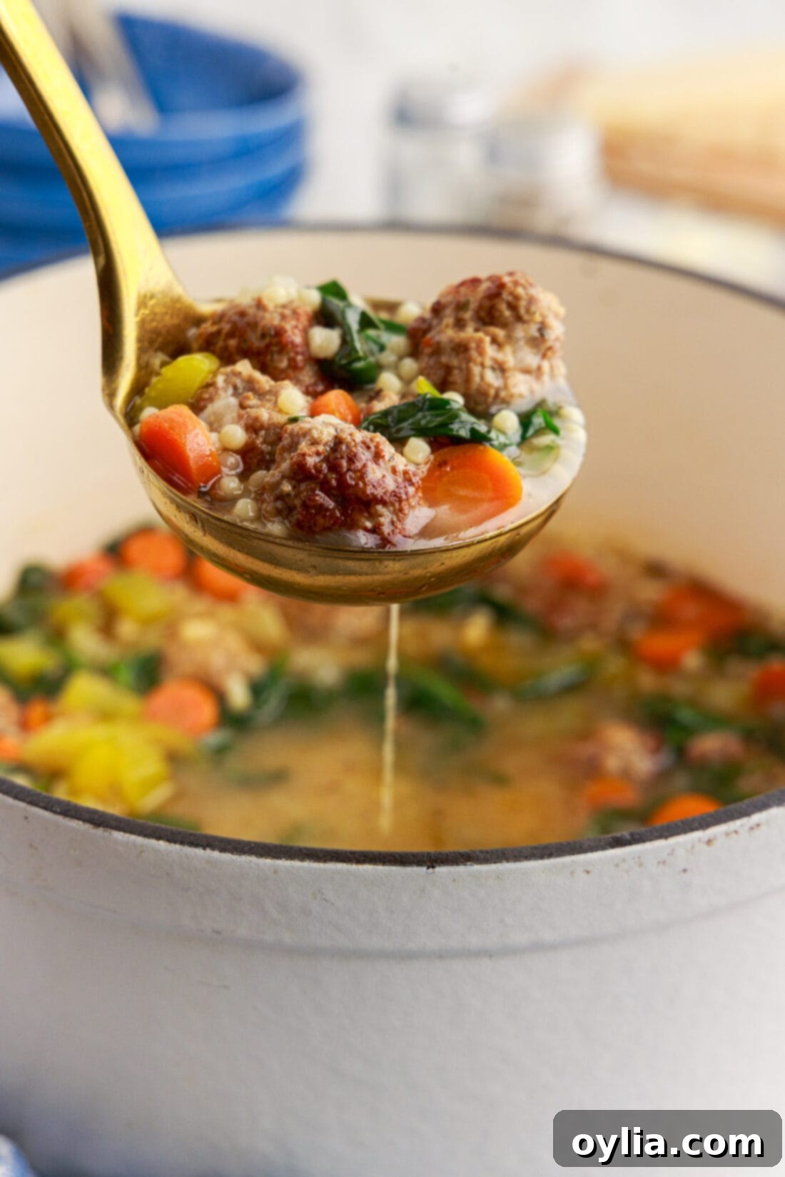 Ladle of Italian Wedding Soup held above a pot of Italian Wedding Soup