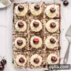 A close-up of a beautifully decorated slice of Black Forest Poke Cake with whipped cream and a cherry on top.