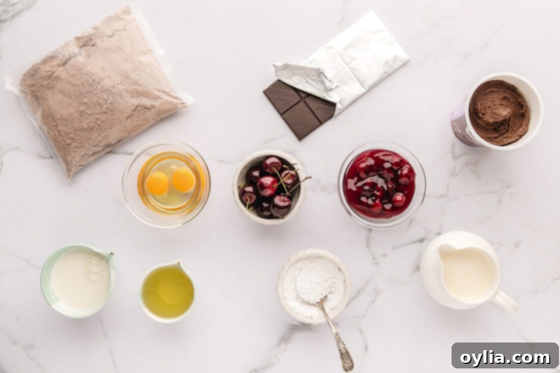 Arrangement of ingredients needed to make Black Forest Poke Cake: chocolate cake mix box, cans of cherry pie filling and fudge sauce, heavy whipping cream, powdered sugar, and a chocolate bar.
