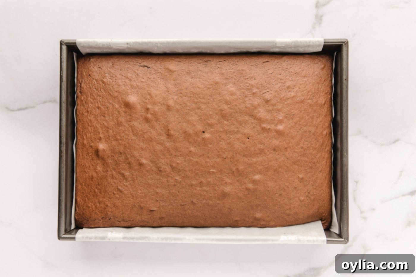 A perfectly baked chocolate cake in a 13x9 inch pan, cooling on a wire rack.