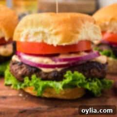 Close up photo of a Buffalo Burger