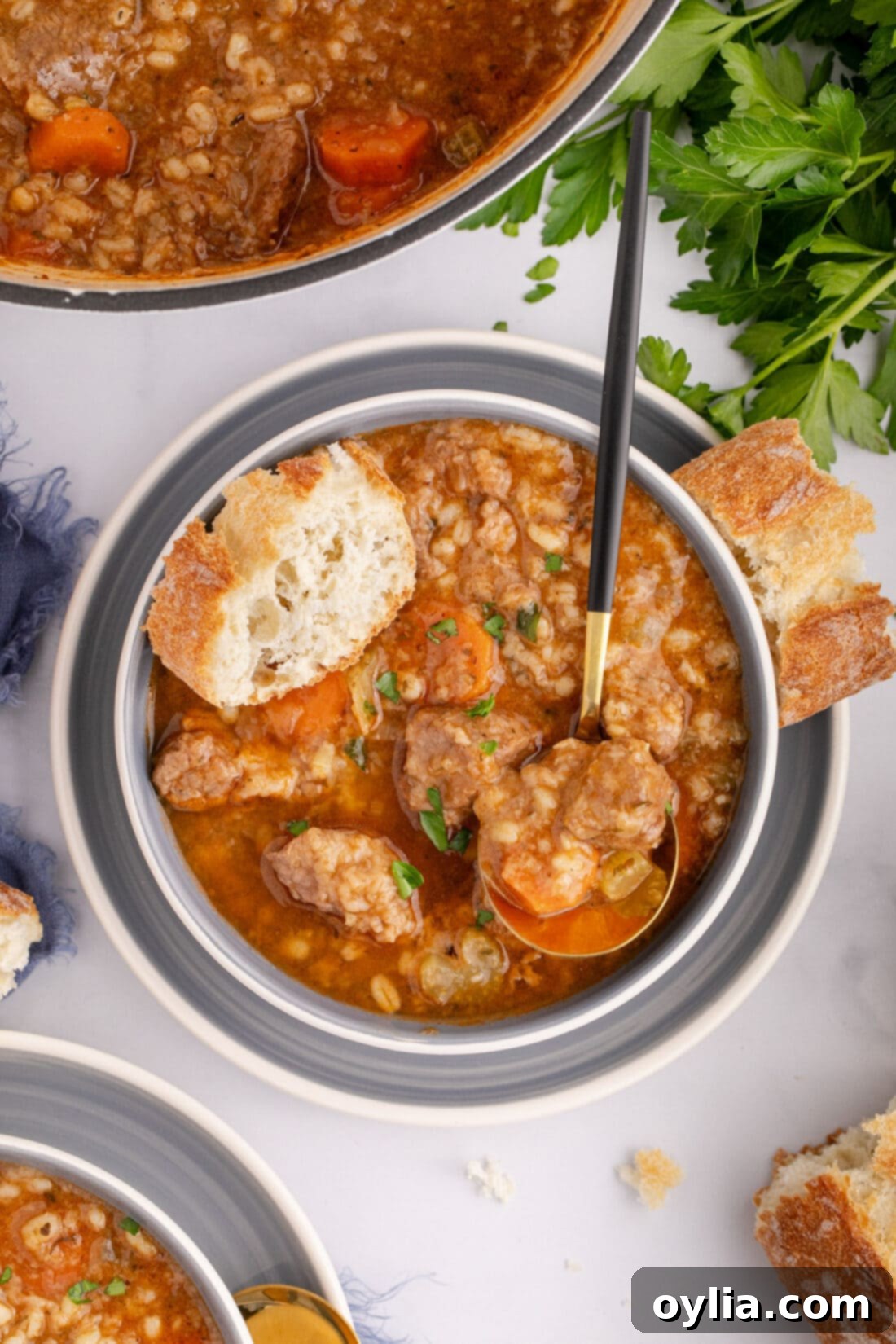 Bowl of Beef Barley Soup with a spoon in it and bread on top