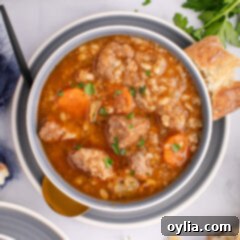 Beef Barley Soup in a bowl