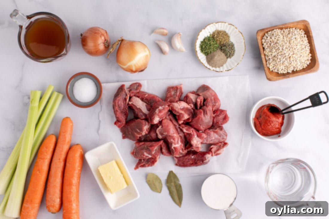 Ingredients for Beef Barley Soup