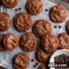 Fudgy Sea Salt Brownie Cookies 19 Salted Brownie Cookies with chocolate chips scattered around, perfect for an ingredient shot or recipe card thumbnail.