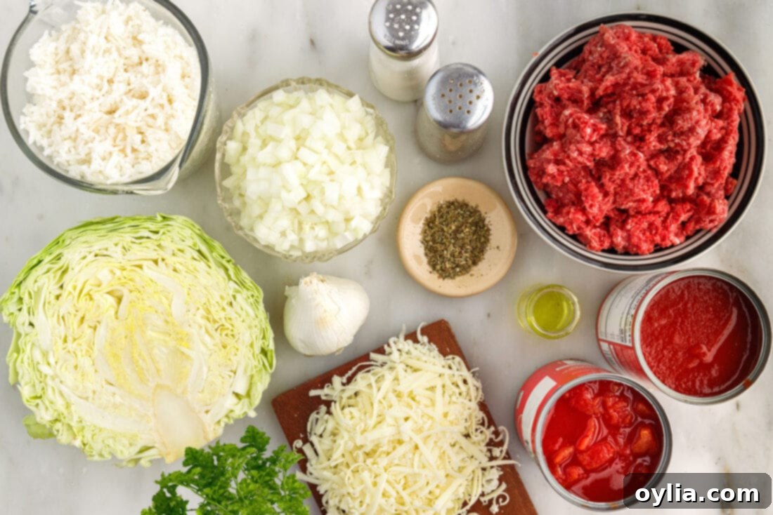 Ingredients for Cabbage Roll Casserole