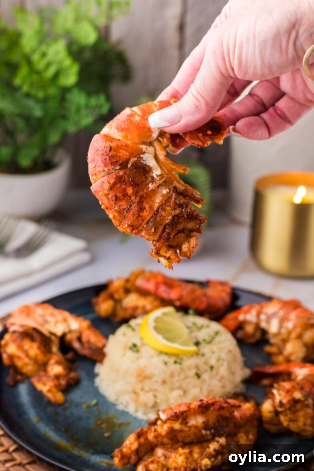 Hand holding up a Colossal Shrimp
