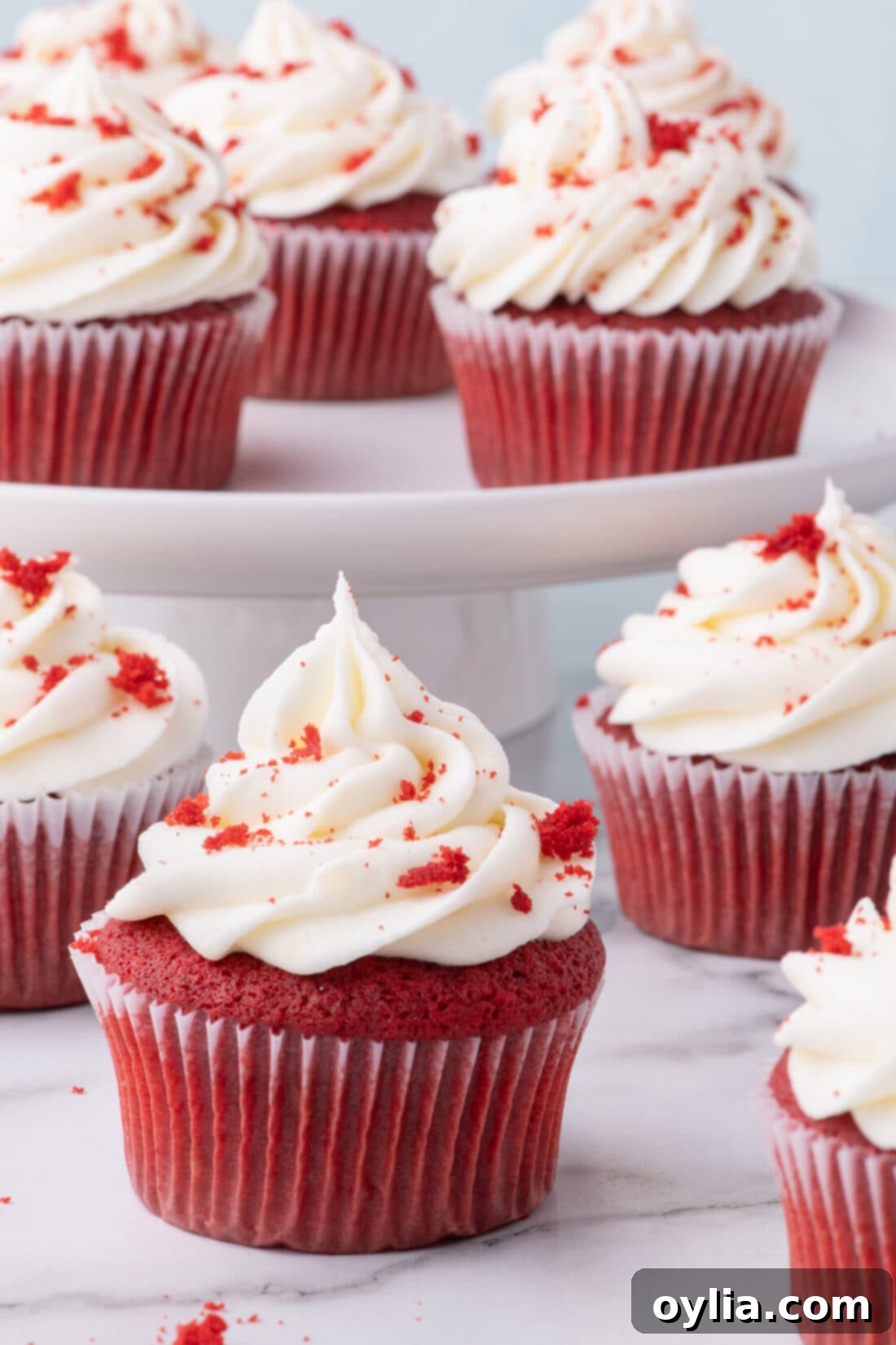 Perfectly frosted Red Velvet Cupcakes ready to be served